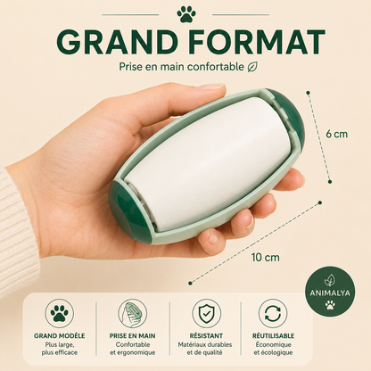Rouleau Anti-Poils Réutilisable