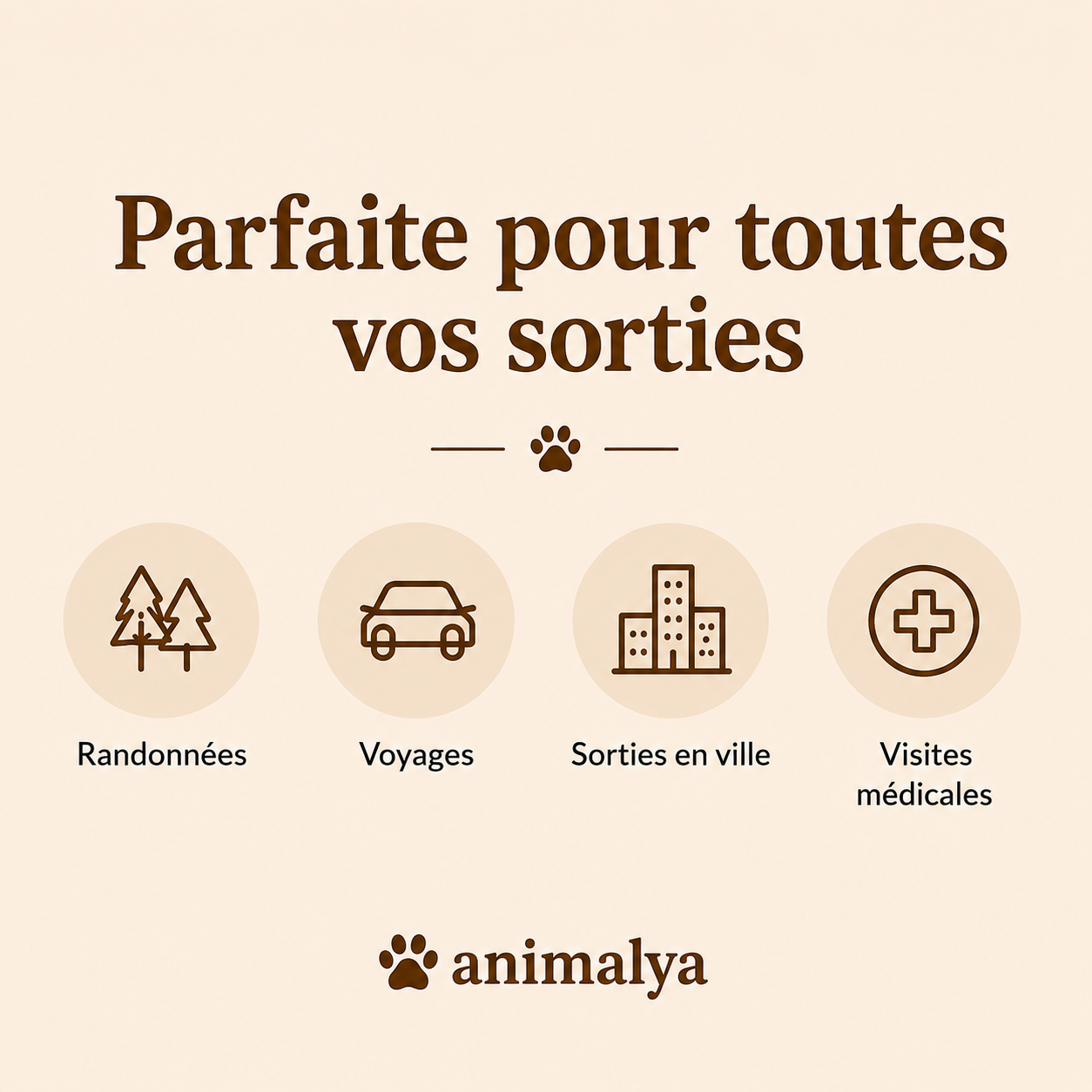 Gourde Portable pour Chien