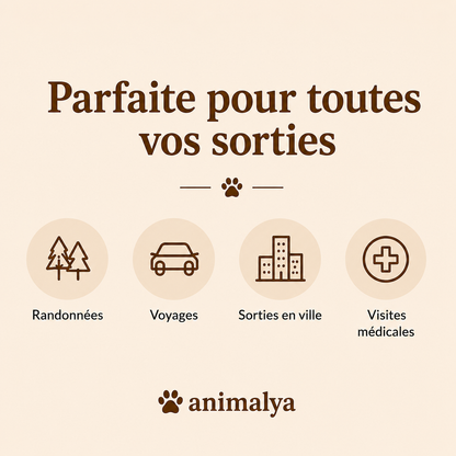 Gourde Portable pour Chien