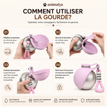 Gourde Portable pour Chien